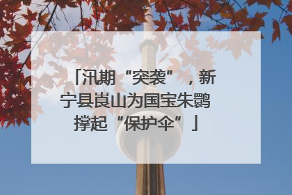 汛期“突袭”，新宁县崀山为国宝朱鹮撑起“保护伞”