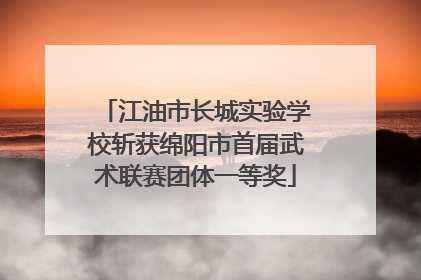 江油市长城实验学校斩获绵阳市首届武术联赛团体一等奖