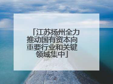 江苏扬州全力推动国有资本向重要行业和关键领域集中