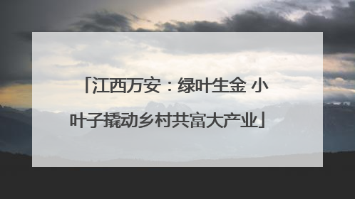 江西万安：绿叶生金 小叶子撬动乡村共富大产业