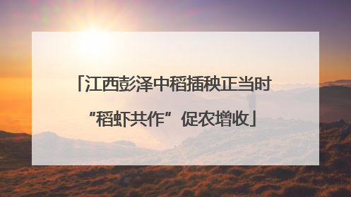 江西彭泽中稻插秧正当时 “稻虾共作”促农增收
