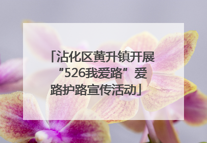 沾化区黄升镇开展“526我爱路”爱路护路宣传活动