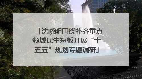 沈晓明围绕补齐重点领域民生短板开展“十五五”规划专题调研