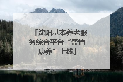 沈阳基本养老服务综合平台“盛情康养”上线