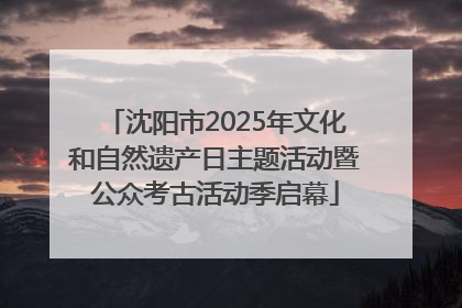 沈阳市2025年文化和自然遗产日主题活动暨公众考古活动季启幕