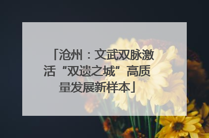 沧州：文武双脉激活“双遗之城”高质量发展新样本