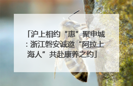 沪上相约“惠”聚申城：浙江磐安诚邀“阿拉上海人”共赴康养之约