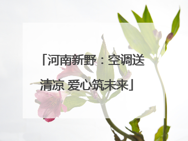 河南新野：空调送清凉 爱心筑未来