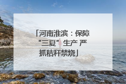 河南淮滨：保障“三夏”生产 严抓秸秆禁烧