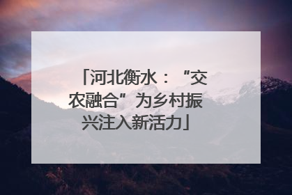 河北衡水：“交农融合”为乡村振兴注入新活力