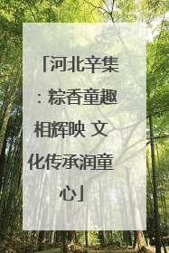 河北辛集：粽香童趣相辉映 文化传承润童心