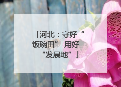 河北：守好“饭碗田” 用好“发展地”