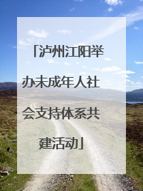 泸州江阳举办未成年人社会支持体系共建活动