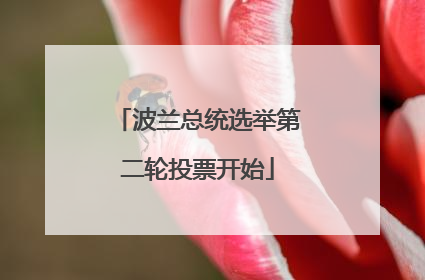 波兰总统选举第二轮投票开始