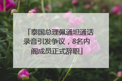 泰国总理佩通坦通话录音引发争议，8名内阁成员正式辞职