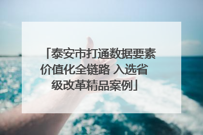泰安市打通数据要素价值化全链路 入选省级改革精品案例