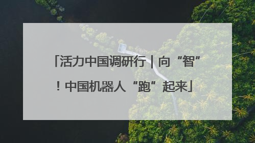 活力中国调研行｜向“智”！中国机器人“跑”起来
