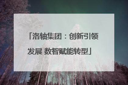 洛轴集团：创新引领发展 数智赋能转型