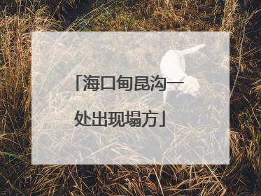 海口甸昆沟一处出现塌方
