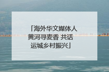 海外华文媒体人黄河寻麦香 共话运城乡村振兴