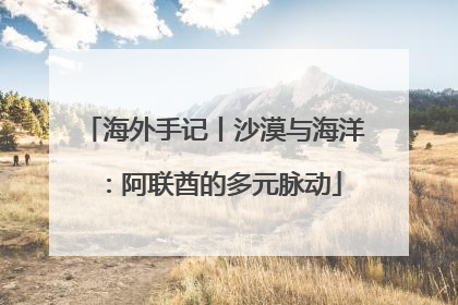 海外手记丨沙漠与海洋：阿联酋的多元脉动