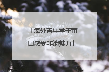 海外青年学子莆田感受非遗魅力