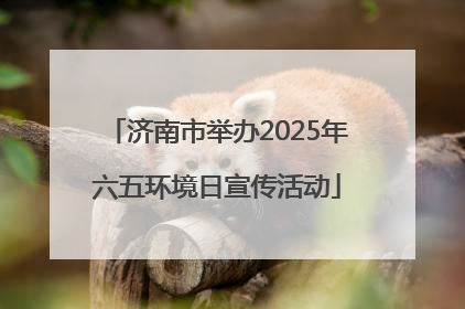 济南市举办2025年六五环境日宣传活动