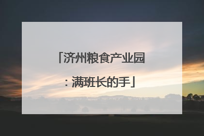 济州粮食产业园：满班长的手