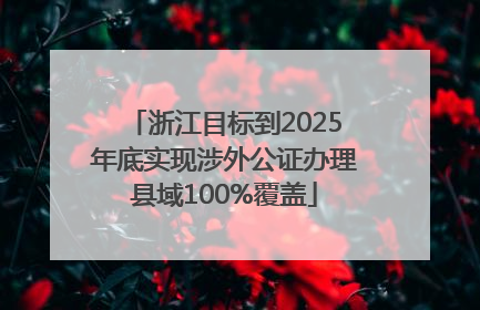 浙江目标到2025年底实现涉外公证办理县域100%覆盖