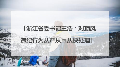 浙江省委书记王浩：对顶风违纪行为从严从重从快处理
