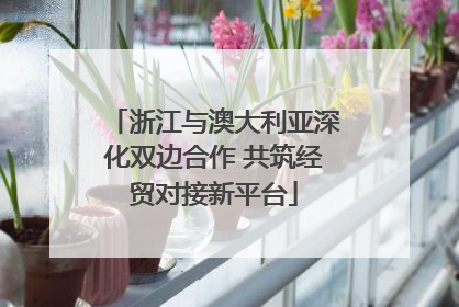 浙江与澳大利亚深化双边合作 共筑经贸对接新平台