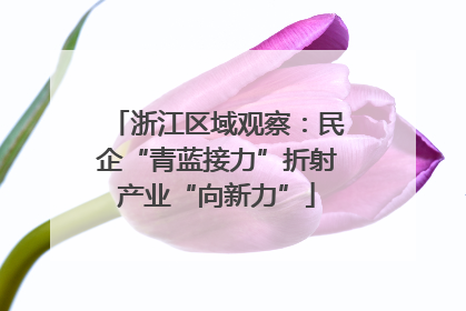 浙江区域观察：民企“青蓝接力”折射产业“向新力”