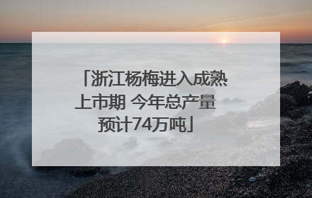 浙江杨梅进入成熟上市期 今年总产量预计74万吨