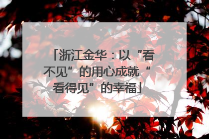 浙江金华:以“看不见”的用心成就“看得见”的幸福