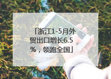 浙江1-5月外贸出口增长6.5%，领跑全国