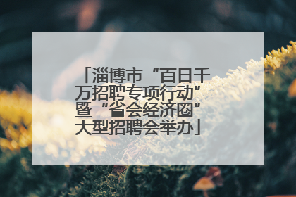 淄博市“百日千万招聘专项行动”暨“省会经济圈”大型招聘会举办