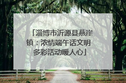 淄博市沂源县燕崖镇：浓情端午话文明 多彩活动暖人心