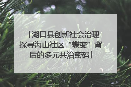 湖口县创新社会治理 探寻海山社区“蝶变”背后的多元共治密码