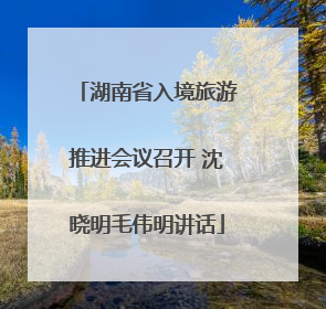湖南省入境旅游推进会议召开 沈晓明毛伟明讲话