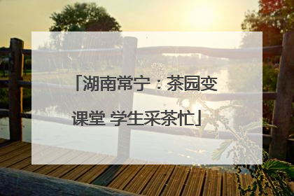 湖南常宁：茶园变课堂 学生采茶忙