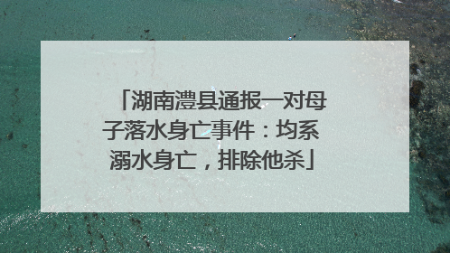 湖南澧县通报一对母子落水身亡事件：均系溺水身亡，排除他杀