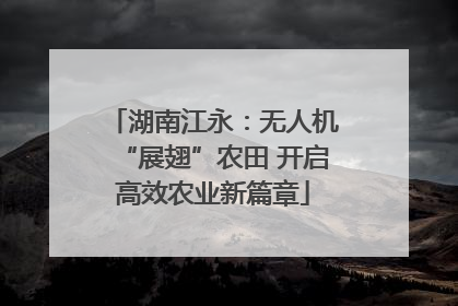 湖南江永：无人机“展翅”农田 开启高效农业新篇章