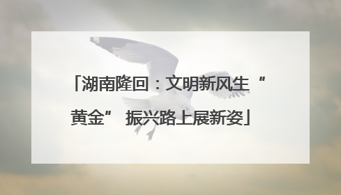 湖南隆回：文明新风生“黄金” 振兴路上展新姿