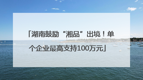 湖南鼓励“湘品”出境！单个企业最高支持100万元