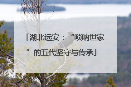 湖北远安：“唢呐世家”的五代坚守与传承