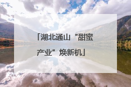 湖北通山“甜蜜产业”焕新机