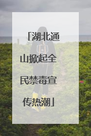 湖北通山掀起全民禁毒宣传热潮