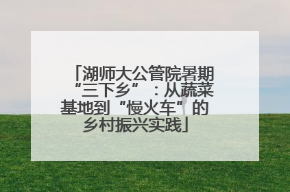 湖师大公管院暑期“三下乡”：从蔬菜基地到“慢火车”的乡村振兴实践