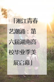 湘江青春艺潮涌：第六届湖南高校毕业季美展启幕