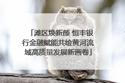 滩区焕新颜 恒丰银行金融赋能共绘黄河流域高质量发展新画卷